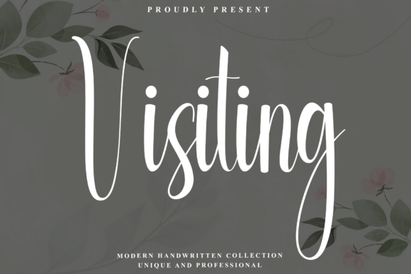 A Designer's Real-World Review: Does the Visiting Font Live Up to Its Charm?